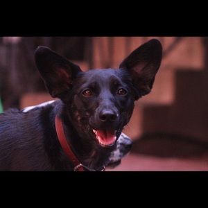 Meet your Posher, Kate